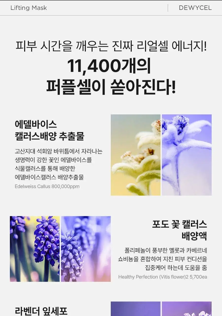 [리뉴얼] 듀이셀 리프팅 마스크 4매 기획 (+1매) 상세페이지 16
